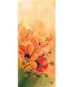 Jasper, Red poppies 1-3