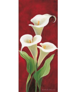 Gertrud Schweser, Calla on burgundy I