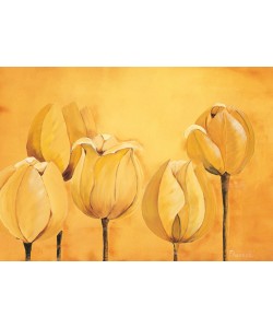 Florenti, Tulips on yellow