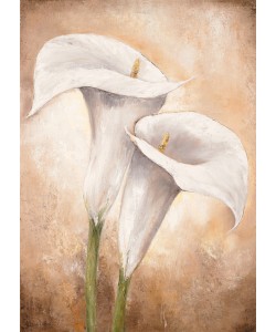 Lenna Lotus, Calla Lilly II