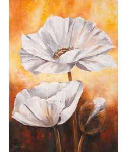 Lenna Lotus, White flowers II
