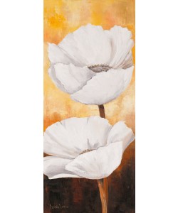 Lenna Lotus, White flowers III