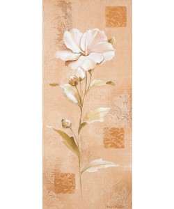 Peter Butler, Dream in cream I