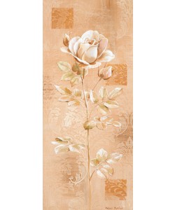 Peter Butler, Dream in cream II
