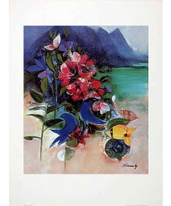 Dieter Framke, Kauai 2250