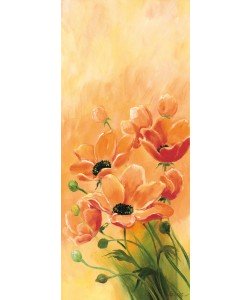 Jasper, Red poppies 3-3
