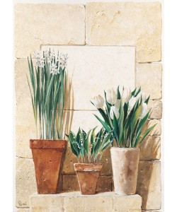 Renee, Three in a row