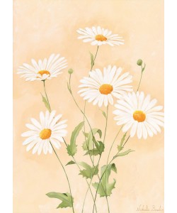 Nathalie Boucher, White margarite II
