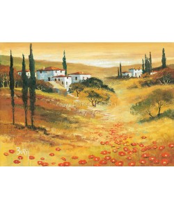 Burgy, Poppies in Tuscany I