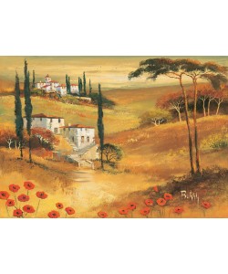 Burgy, Poppies in Tuscany II