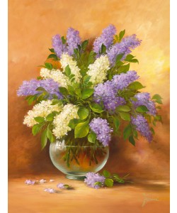 Fasani, SMELL OF LILAC II