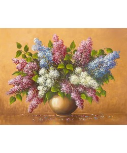 Helmut Glassl, SYRINGA