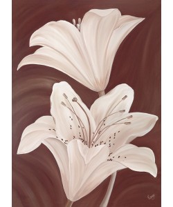 Kaye Lake, CHOCOLATE LILLIES