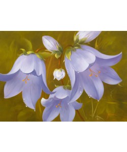 Fasani, SAY IT WITH FLOWERS I