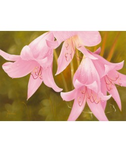 Fasani, SAY IT WITH FLOWERS II