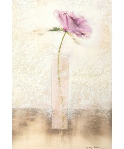 Marilyn Robertson, CALICO I