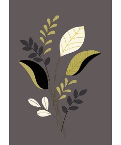 Design Show, CITRUS STEMS I