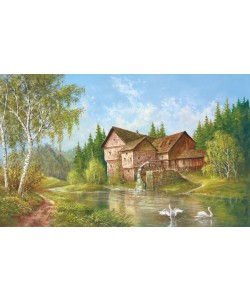 Helmut Glassl, 004941ITH SWANS