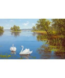 Slava, SWANS ON THE LAKE