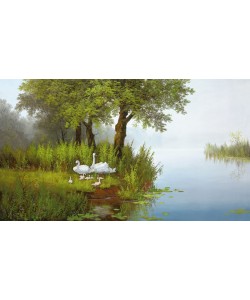 Slava, SWANS AT THE POND I