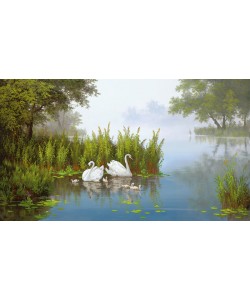 Slava, SWANS AT THE POND II