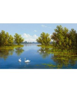 Slava, FLUß MIT SCHWÄNEN I