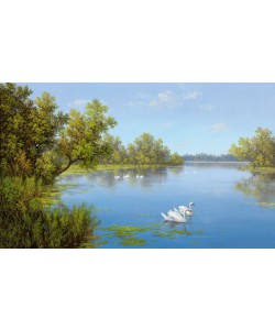 Slava, FLUß MIT SCHWÄNEN II