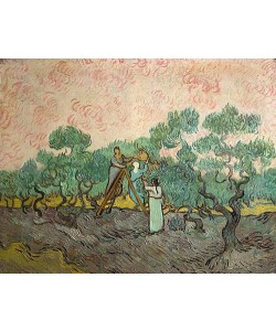 Vincent van Gogh, Oliven-Ernte. 1889.