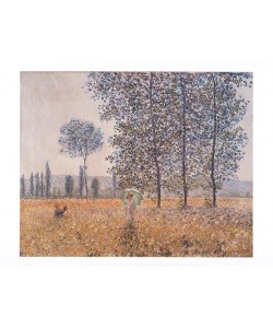 Claude Monet, Felder im Frühling (Offset)