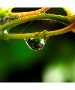 Conny Krakowski, In der Ruhe