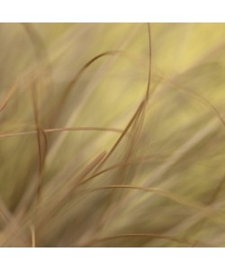 Konfiguration benutzen