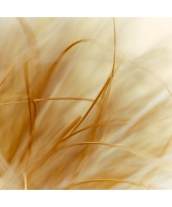 Konfiguration benutzen