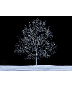 Konfiguration benutzen