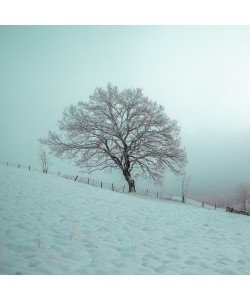 Konfiguration benutzen