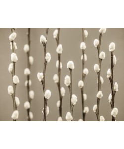 Konfiguration benutzen