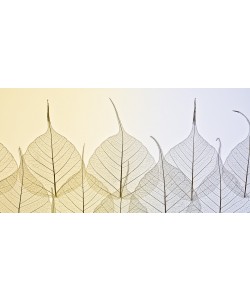 Konfiguration benutzen