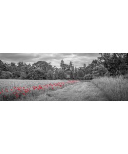 Konfiguration benutzen