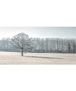 Konfiguration benutzen