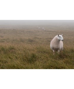 Konfiguration benutzen