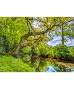 Konfiguration benutzen