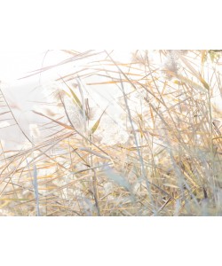 Konfiguration benutzen