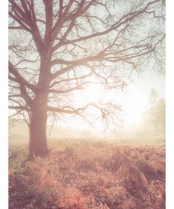 Konfiguration benutzen