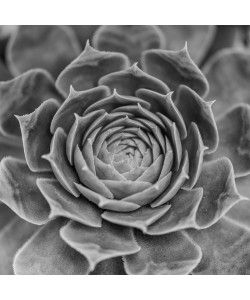 Konfiguration benutzen