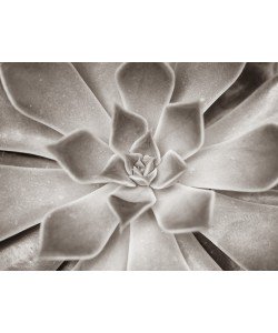 Konfiguration benutzen