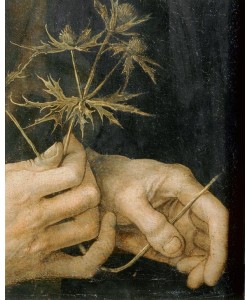 Albrecht Dürer, Selbstbildnis