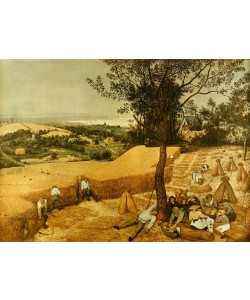 Pieter Brueghel der Ältere, Die Kornernte