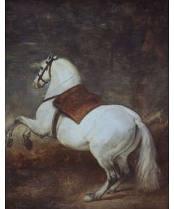 Diego Rodriguez de Silva y Velasquez, Steigendes Pferd