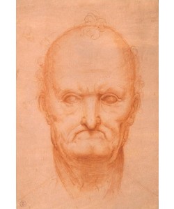 Leonardo da Vinci, Kopfstudie eines alten Mannes