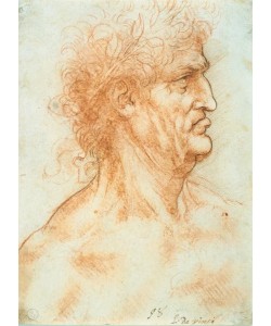 Leonardo da Vinci, Profilstudie eines älteren Mannes mit Lorbeerkranz