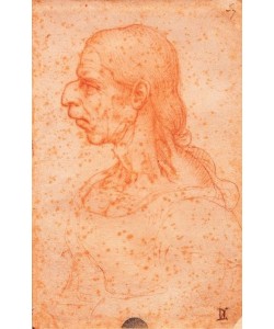 Leonardo da Vinci, Grotesker Kopf einer alten Frau im Profil